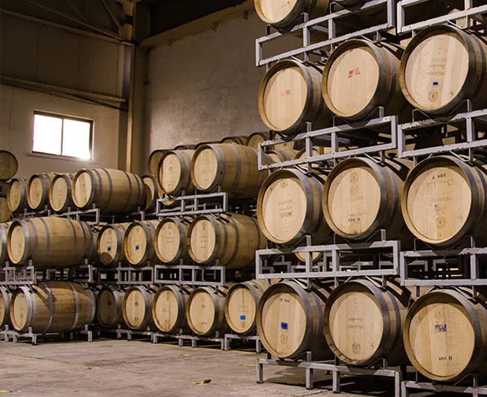 Wine Tasting and Tours Queretaro