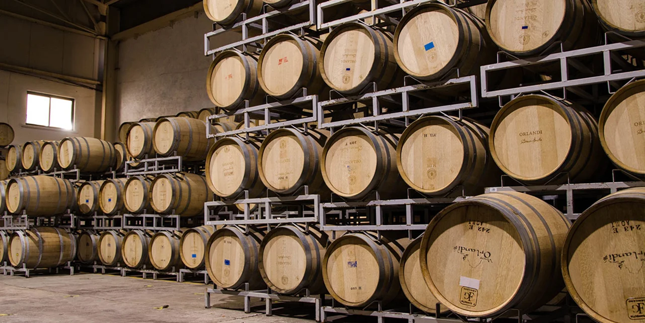 Wine Tasting and Tours