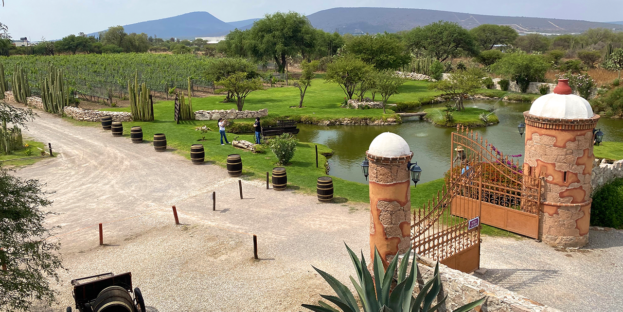 Wine Tasting and Tours