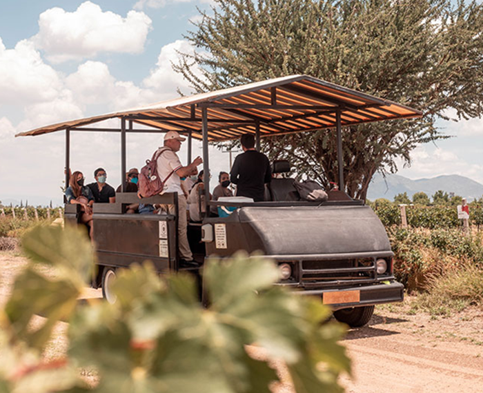 Wine Tours Queretaro