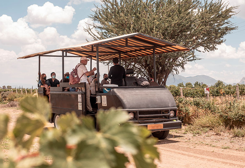 Wine Tours Queretaro