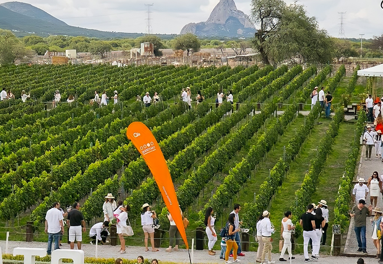 Wine Tours Queretaro