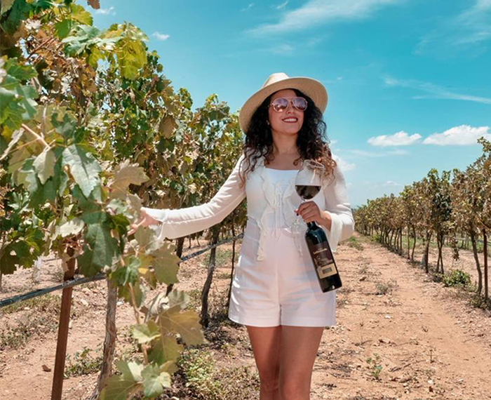 Wine Tasting and Tours Queretaro