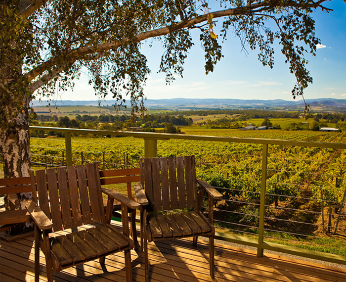 Wine Tasting and Tours Queretaro