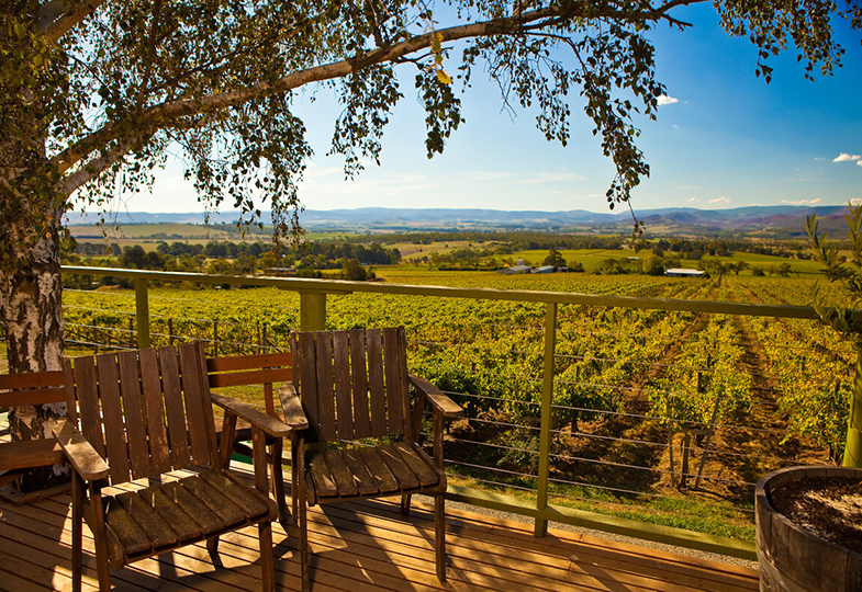 Wine Tasting and Tours Queretaro