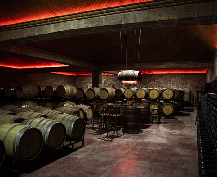 Wine Tasting and Tours Queretaro