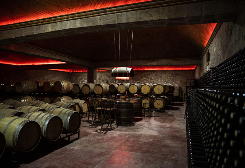 Wine Tasting and Tours Queretaro